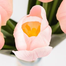 Букет тюльпанов с эффектом живого прикосновения, 9 бутонов, пудровый, 45 см, изображение 3 ᐒ купить на  ❤ Like7km.com.ua