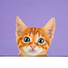 Набор коробок "Умиротворение" 3 шт, изображение 2 ᐒ купить на  ❤ Like7km.com.ua