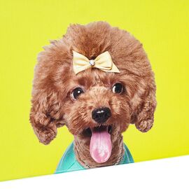 Набор коробок "Веселая компания" 3 шт, изображение 4 ᐒ купить на  ❤ Like7km.com.ua