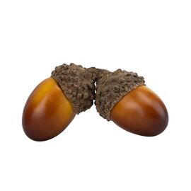 Набор декоративных желудей "Осенний уют", 50 шт, 3 см, изображение 3 ᐒ купить на  ❤ Like7km.com.ua