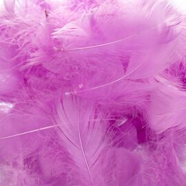 Наполнитель  "Жар-птица" *рандомный выбор цвета, изображение 2 ᐒ купить на  ❤ Like7km.com.ua