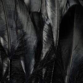 Декоративные перья, синие YOO-HOO!, изображение 5 ᐒ купить на  ❤ Like7km.com.ua