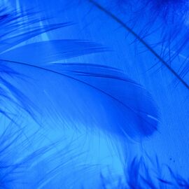 Декоративные перья, синие YOO-HOO!, изображение 2 ᐒ купить на  ❤ Like7km.com.ua