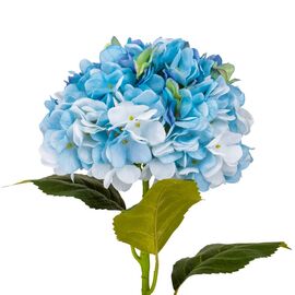 Гортензия "Анабель", голубая, 57 см, изображение 2 ᐒ купить на  ❤ Like7km.com.ua