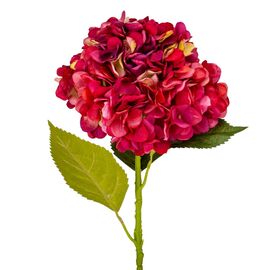Гортензия "Анабель", красная, 57 см, изображение 2 ᐒ купить на  ❤ Like7km.com.ua