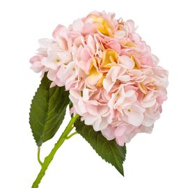 Гортензия "Анабель", розовая, 57 см, изображение 2 ᐒ купить на  ❤ Like7km.com.ua