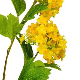 Гортензия "Аура", желтая, 80 см, изображение 2 ᐒ купить на  ❤ Like7km.com.ua