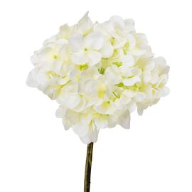 Гортензия "Анабель", белая, 43 см, изображение 2 ᐒ купить на  ❤ Like7km.com.ua