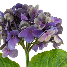 Цветок искусственный "Гортензия Papillon" синяя, изображение 3 ᐒ купить на  ❤ Like7km.com.ua