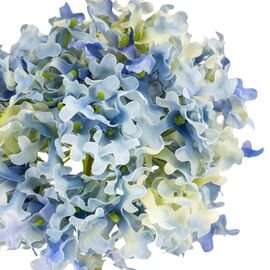 Цветок  "Гортензия шаровидная" синяя, изображение 3 ᐒ купить на  ❤ Like7km.com.ua