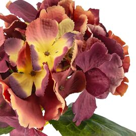 Гортензия оранж 36 см, изображение 2 ᐒ купить на  ❤ Like7km.com.ua