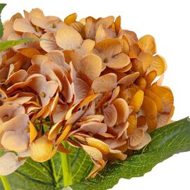 Букет "Гортензия крупнолистная" охра, изображение 3 ᐒ купить на  ❤ Like7km.com.ua