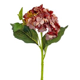 Букет "Гортензия крупнолистная" бордо, изображение 2 ᐒ купить на  ❤ Like7km.com.ua