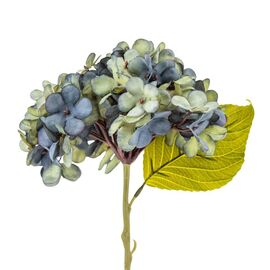 Цветы "Гортензия голубая", изображение 2 ᐒ купить на  ❤ Like7km.com.ua
