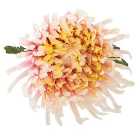 Хризантема "Вдохновение", кремово-розовая, 82 см, изображение 2 ᐒ купить на  ❤ Like7km.com.ua