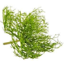 Каркас для букета (пластик, 30 см), изображение 3 ᐒ купить на  ❤ Like7km.com.ua