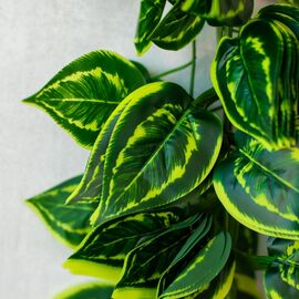 Гирлянда "Лиана", 190 см, изображение 2 ᐒ купить на  ❤ Like7km.com.ua