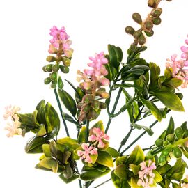 Цветок Аконит розовый, изображение 2 ᐒ купить на  ❤ Like7km.com.ua