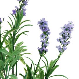 Лаванда (38 см), изображение 3 ᐒ купить на  ❤ Like7km.com.ua