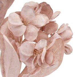 Ветка гортензии, розовая, изображение 3 ᐒ купить на  ❤ Like7km.com.ua