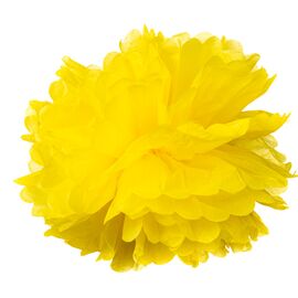 Бумажный пом-пон, желтый 25 см., изображение 3 ᐒ купить на  ❤ Like7km.com.ua