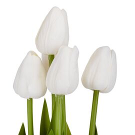 Букет тюльпанов "Рапсодия", белый, 25,5 см, изображение 2 ᐒ купить на  ❤ Like7km.com.ua