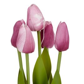 Букет тюльпанов "Рапсодия", фиолетовый, 25,5 см, изображение 2 ᐒ купить на  ❤ Like7km.com.ua