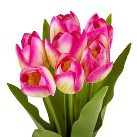Букет тюльпанов "Красочность", розовый, 40 см, изображение 2 ᐒ купить на  ❤ Like7km.com.ua