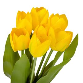 Букет тюльпанов "Красочность", желтый, 40 см, изображение 2 ᐒ купить на  ❤ Like7km.com.ua