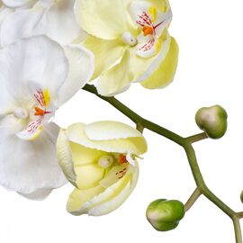 Орхидея белая 137 см, изображение 2 ᐒ купить на  ❤ Like7km.com.ua