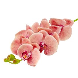 Искусственная орхидея, розовая, 75 см, изображение 4 ᐒ купить на  ❤ Like7km.com.ua