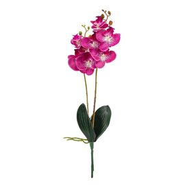 Орхидея 56 см. * Рандомный выбор дизайна, изображение 7 ᐒ купить на  ❤ Like7km.com.ua