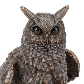 Статуетка "Сова" (17 см) VERONESE, изображение 4 ᐒ купить на  ❤ Like7km.com.ua