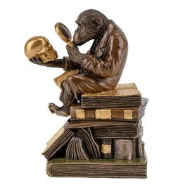 Шкатулка "Мавпа Дарвіна" (17 см) VERONESE, изображение 2 ᐒ купить на  ❤ Like7km.com.ua