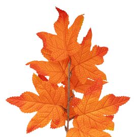 Искусственная ветвь "Осенний дубовый лист", 42 см, изображение 2 ᐒ купить на  ❤ Like7km.com.ua