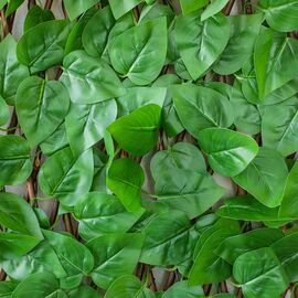 Декоративная панель из искусственной зелени и лозы "Фикус", 36*120 см, изображение 3 ᐒ купить на  ❤ Like7km.com.ua