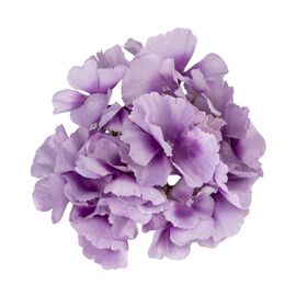 Головка гортензии, сиреневая, 16 см, изображение 2 ᐒ купить на  ❤ Like7km.com.ua