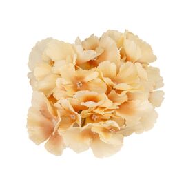 Головка гортензии, бежевая, 16 см, изображение 2 ᐒ купить на  ❤ Like7km.com.ua