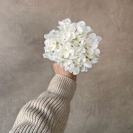 Головка гортензии мелкоцветная, белая, 14 см, изображение 4 ᐒ купить на  ❤ Like7km.com.ua