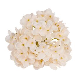 Головка гортензии мелкоцветная, кремовая, 14 см, изображение 2 ᐒ купить на  ❤ Like7km.com.ua