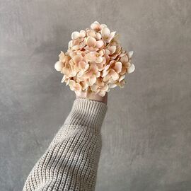 Головка гортензии мелкоцветная, бежевая, 14 см, изображение 4 ᐒ купить на  ❤ Like7km.com.ua