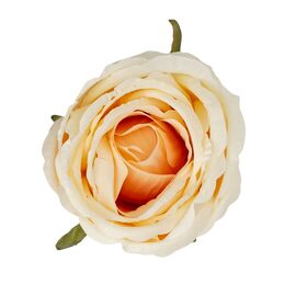 Головка розы, бежевая, 11 см, изображение 2 ᐒ купить на  ❤ Like7km.com.ua
