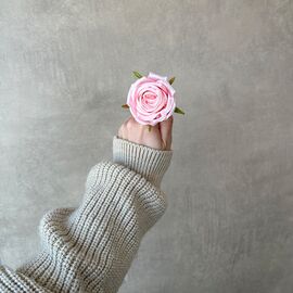 Головка розы, светло-розовая, 6 см, изображение 4 ᐒ купить на  ❤ Like7km.com.ua