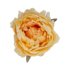 Головка пиона, бежевая, 10 см, изображение 2 ᐒ купить на  ❤ Like7km.com.ua