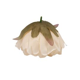 Головка пиона, кремовая, 10 см, изображение 2 ᐒ купить на  ❤ Like7km.com.ua