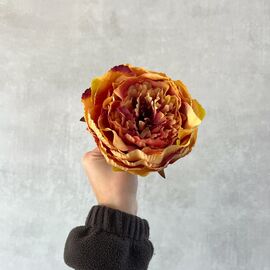 Головка пиона, оранжевая, 11 см, изображение 5 ᐒ купить на  ❤ Like7km.com.ua