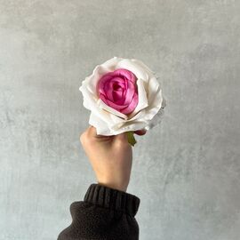 Головка розы, бело-розовая, 10 см, изображение 5 ᐒ купить на  ❤ Like7km.com.ua