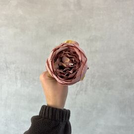 Головка розы, пыльная роза, 8 см, изображение 5 ᐒ купить на  ❤ Like7km.com.ua