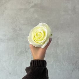 Головка розы, белая, 8см, изображение 5 ᐒ купить на  ❤ Like7km.com.ua