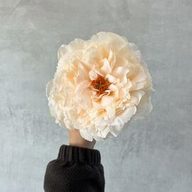 Головка пиона, кремовая, 17 см, изображение 5 ᐒ купить на  ❤ Like7km.com.ua